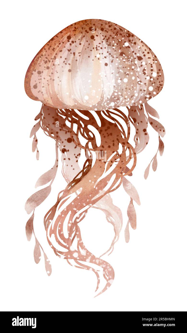 Illustration aquarelle de méduses d'animaux marins sous-marins. Habitants marins du monde sous-marin. illustration, éducation, carte postale, autocollant, Banque D'Images