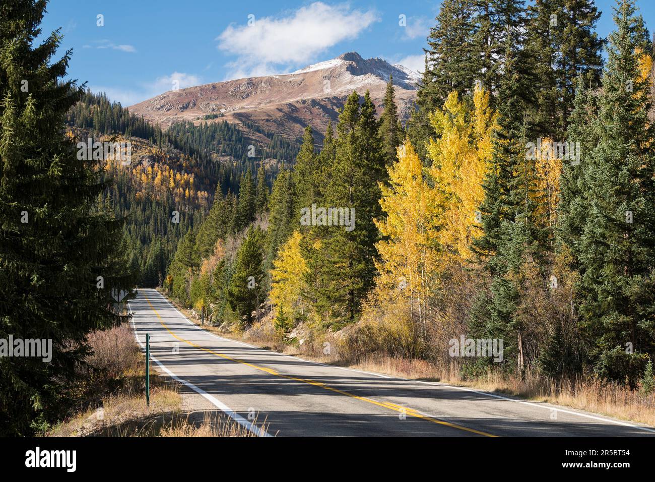 Des arbres de peuplier faux-tremble et une légère accumulation de neige sont observés le long de l'autoroute 82, qui est à 44 kilomètres de magnifiques paysages dans le centre du Colorado. Banque D'Images