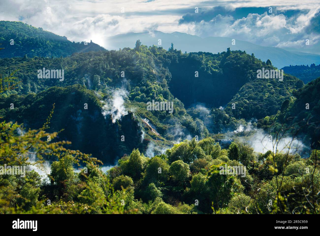 Un magnifique paysage de montagnes couvertes d'arbres et de vapeur dans la vallée volcanique de Waimangu Banque D'Images