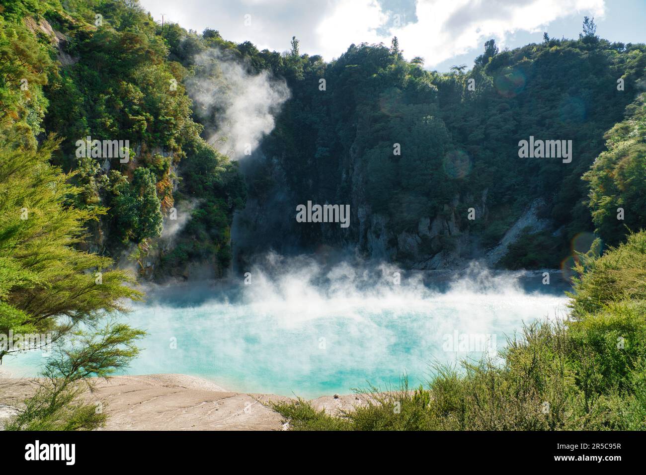 Un superbe cliché de montagnes couvertes d'arbres et d'un étang à vapeur dans la vallée volcanique de Waimangu Banque D'Images