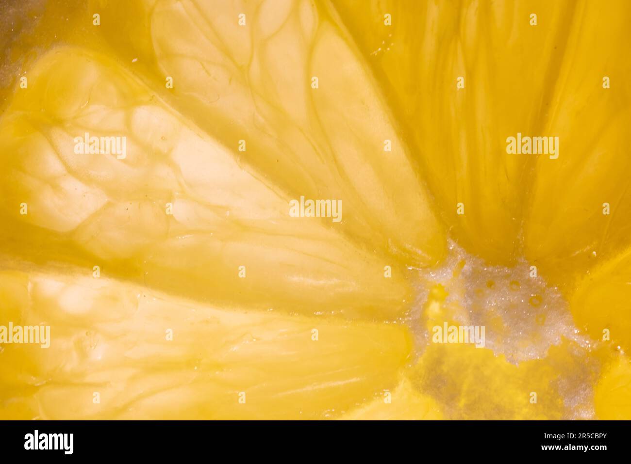 Capture macro fascinante d'une tranche de citron, rétro-éclairée avec brio, présentant ses couleurs éclatantes et sa texture complexe Banque D'Images