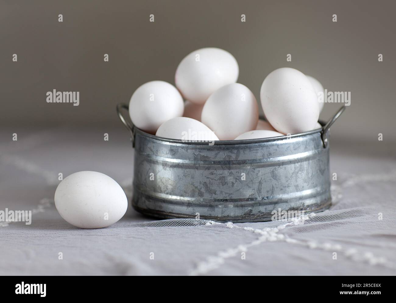 STILL Life with Fresh ufs in Metal Bowl Banque D'Images