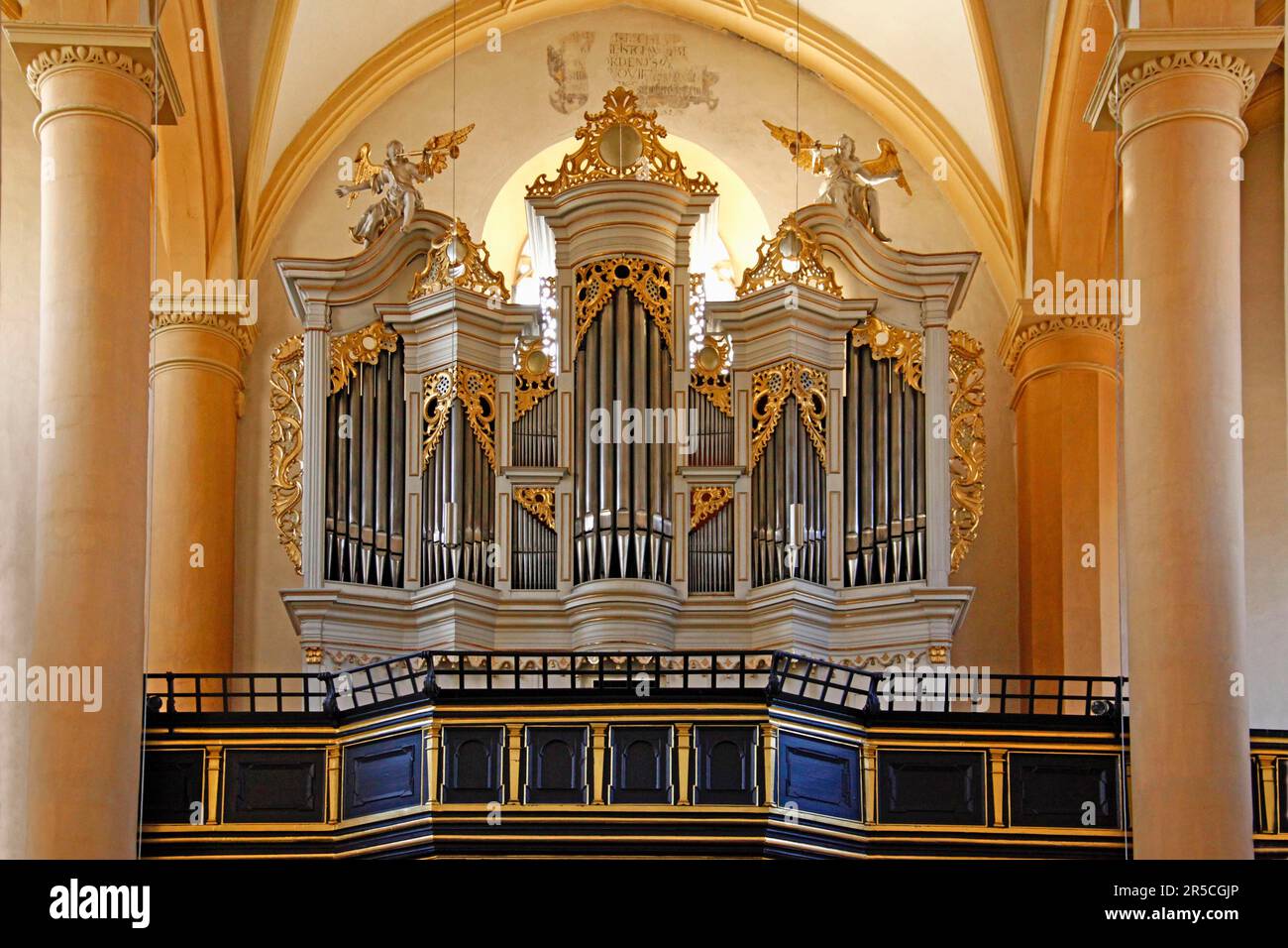 Orgue de l'église, Saint Église de Vitus, Iphofen, Basse-Franconie, Bavière, orgue, Tuyaux d'orgue, Allemagne Banque D'Images