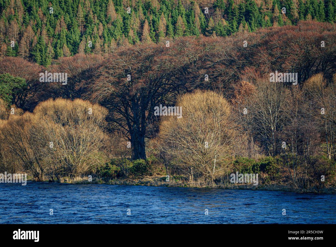 La rivière Spey près du village de Rothes Banque D'Images