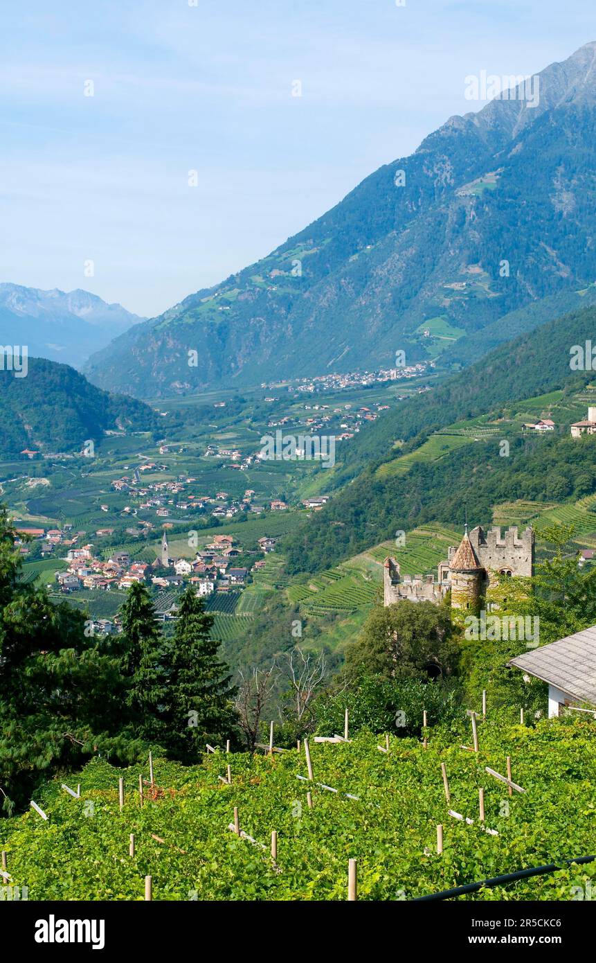 Vue sur Algund avec le château de Brunnenburg, vallée de l'Adige, Tyrol du Sud, Italie Banque D'Images