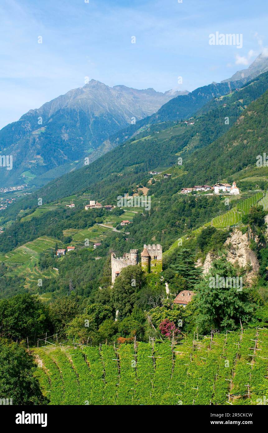 Vue sur Algund avec le château de Brunnenburg, vallée de l'Adige, Tyrol du Sud, Italie Banque D'Images