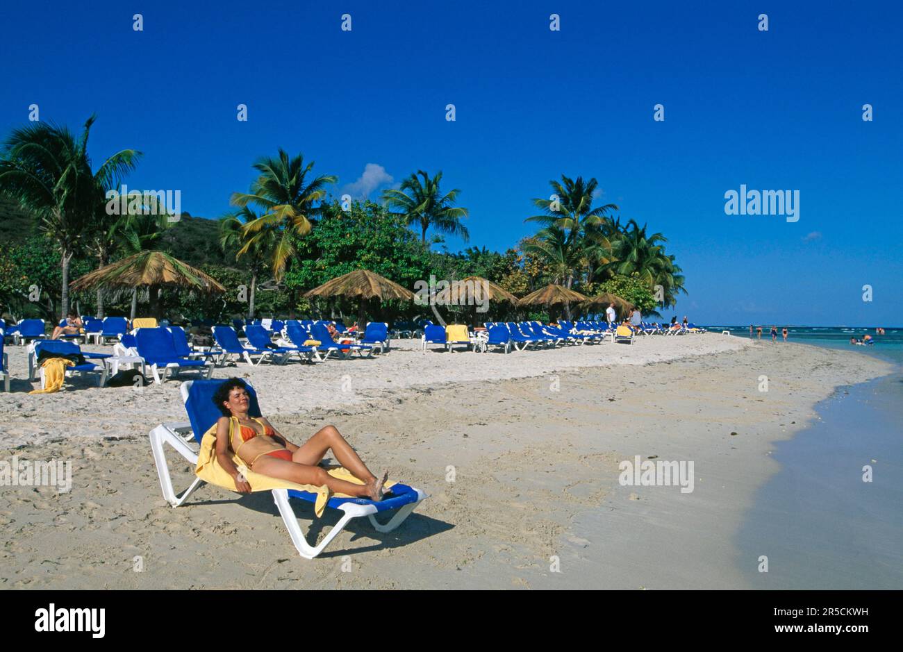 Palomino, l'île de Porto Rico, des Caraïbes Banque D'Images