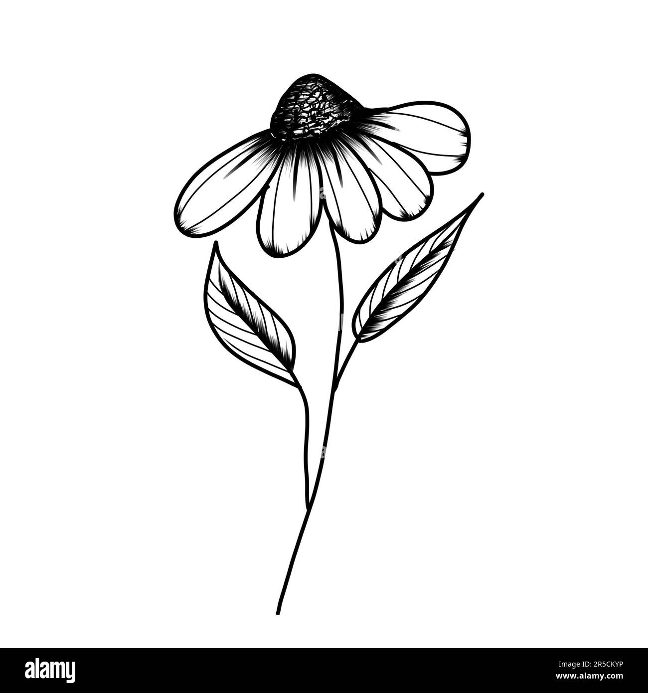 illustration de fleurs d'art en ligne Banque D'Images