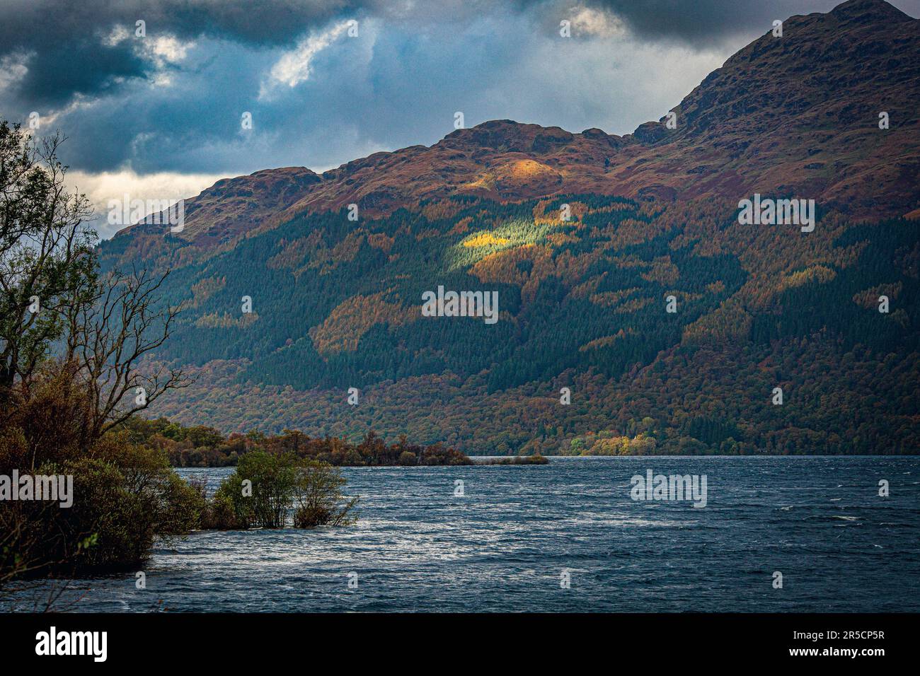 Vue sur l'automne, Loch Lomond, Écosse, Royaume-Uni Banque D'Images