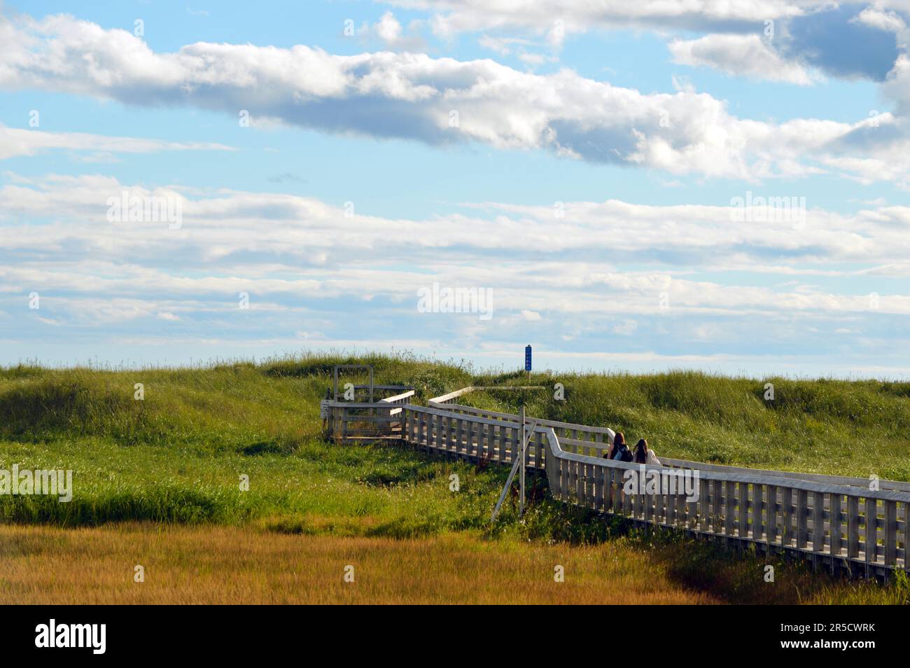 Promenade menant à Conrad's Beach sur la côte est de la Nouvelle-Écosse, Canada Banque D'Images
