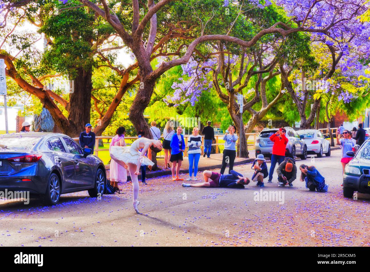 Sydney, Australie - 15 novembre 2020 : personnes qui prennent des photos de selfies dans les rues de Sydney, sous les rues florales de Jacaranda. Banque D'Images