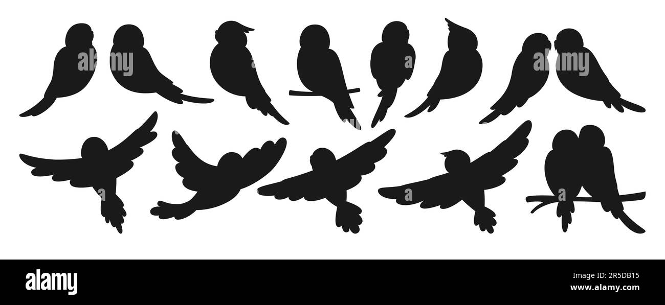 Ensemble de silhouette tropicale Parrot. Collection d'oiseaux volant et assise exotiques sauvages d'été. Faune jungle hawaïenne perroquets mignons, drôle de personnages de parakeet dessin main de forme illustration vectorielle Illustration de Vecteur