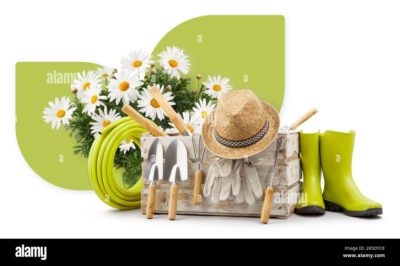 Équipement d'outils de jardinage. Pâquerettes, caisse en bois avec kit de jardin, bottes en caoutchouc, tuyau, chapeau et gants, isolés sur fond blanc. Publicité shopping Banque D'Images