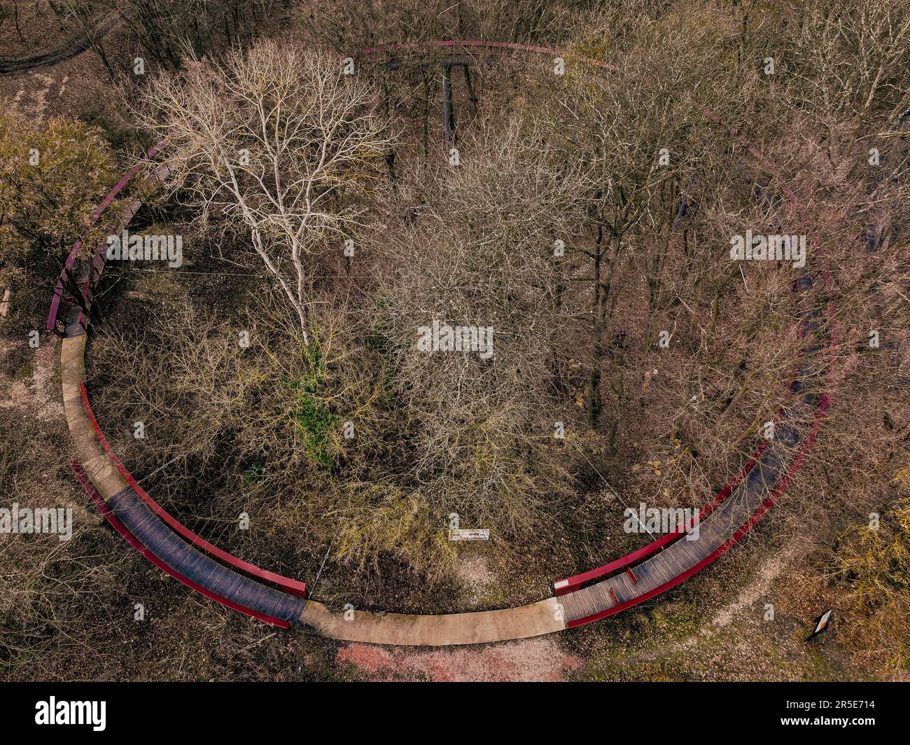 Le sentier de la canopée en forme de rond TIS se trouve sur les montagnes de Gerecse, dans le nord de la Hongrie. Le chemin est visible bien de l'air en hiver. Banque D'Images