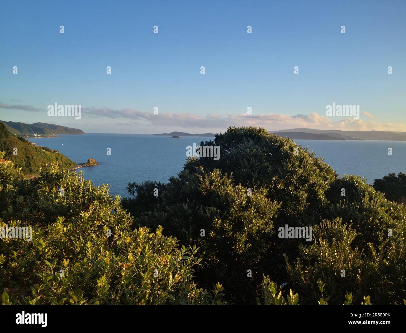 Vue sur Eastbourne dans le port de Wellington, Nouvelle-Zélande Banque D'Images