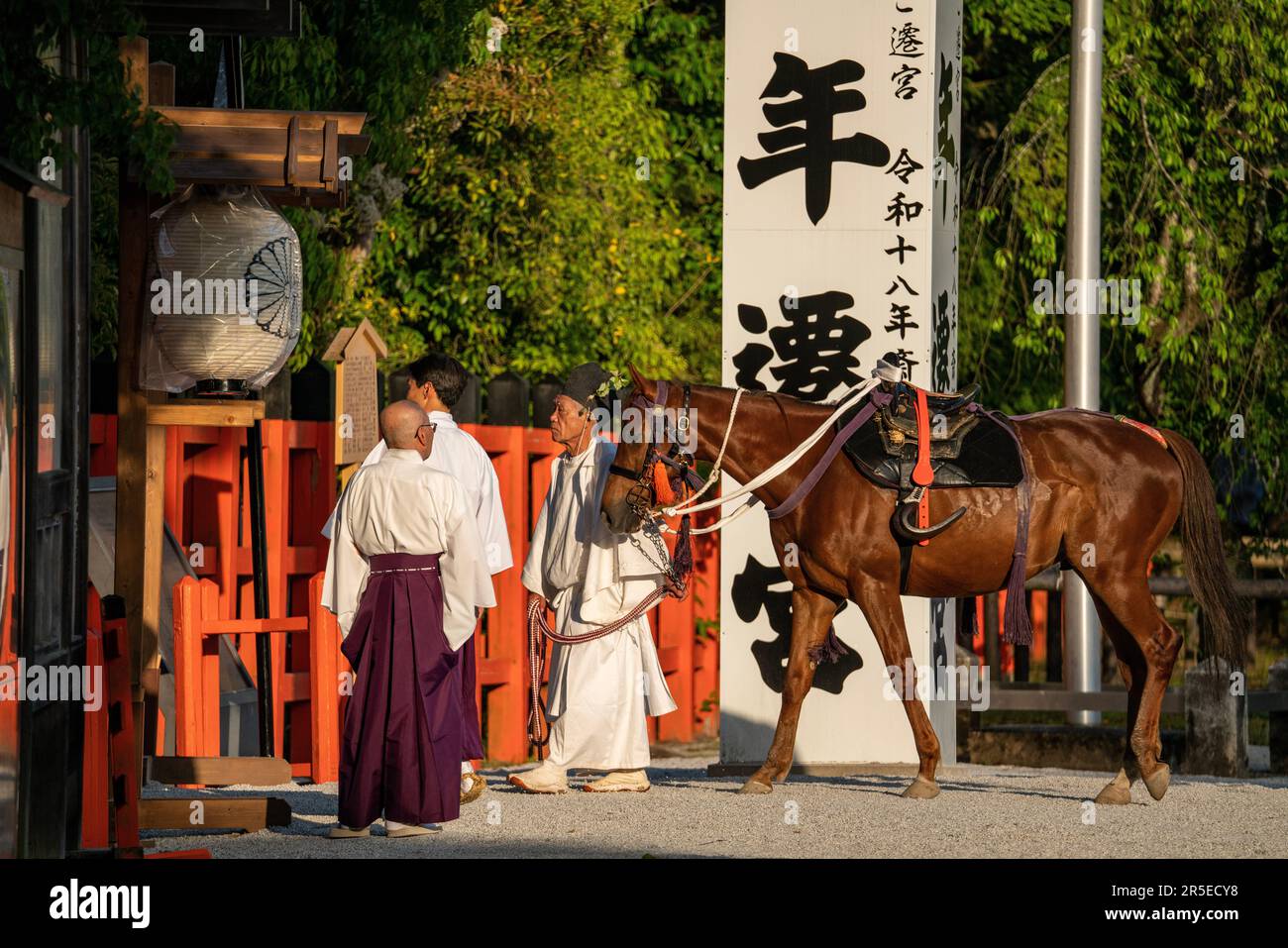 Vue en angle inférieur d'un cheval Banque D'Images