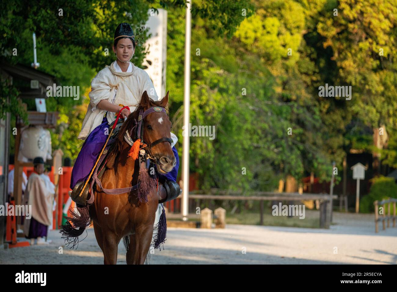 Vue en angle inférieur d'un cheval Banque D'Images