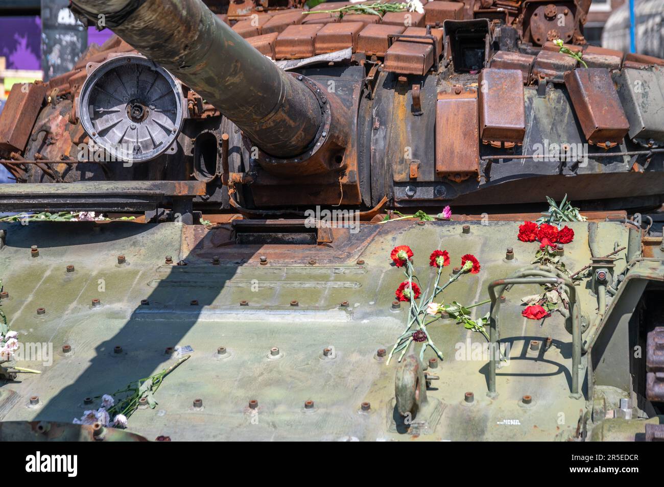 Fleurs sur un réservoir épaté Banque D'Images