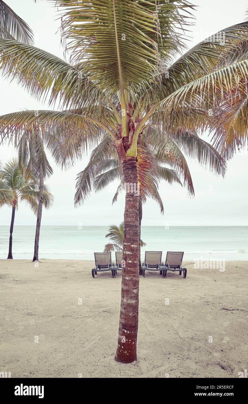 Photo d'une plage tropicale aux couleurs rétro. Banque D'Images