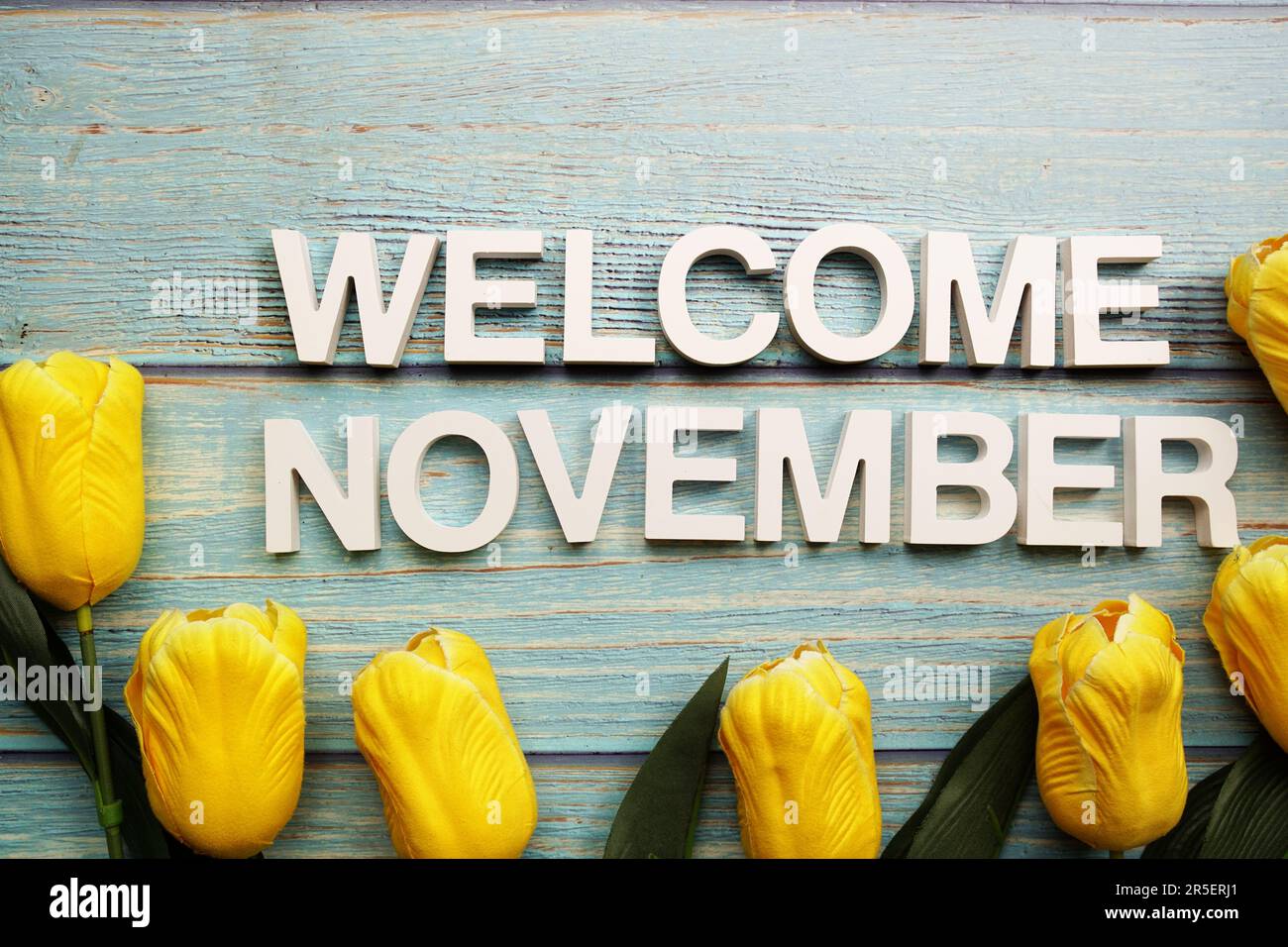 Bienvenue lettres de l'alphabet de novembre avec fleur de tulipe sur fond de bois Banque D'Images