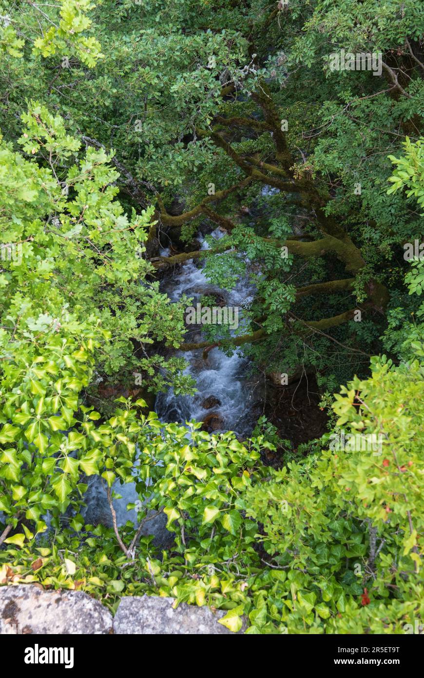 Été montagnes campagne vue depuis Elenski Skok ancien petit pont piétonnier en pierre au-dessus du ruisseau dans les gorges profondes. Macédoine du Nord pas loin de Deb Banque D'Images