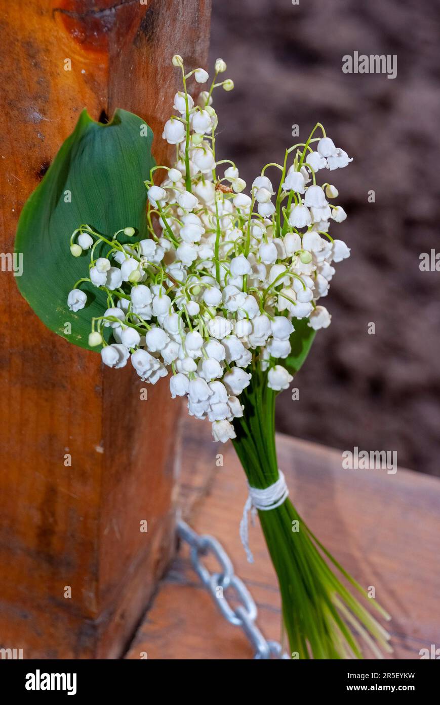 Lily de la vallée bouquet - mariage ou vacances fond - fleurs de Lily de la vallée (Convallaria majalis), petites cloches blanches et feuilles de Lily Banque D'Images