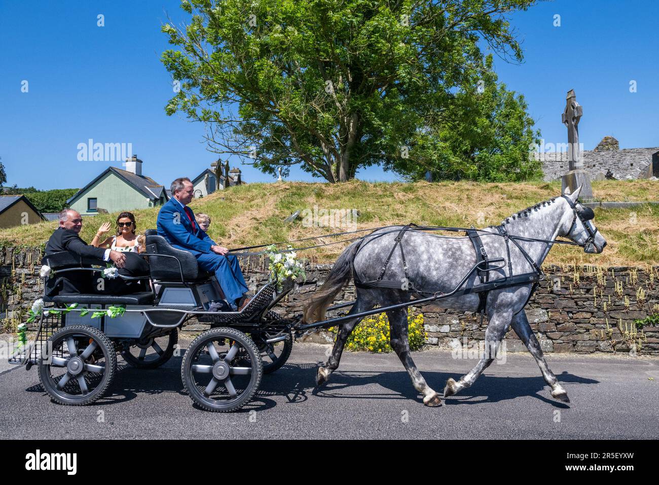 Timoleague, West Cork, Irlande. 3rd juin 2023. Lors d'une journée chaude et ensoleillée à Timoleague, Bonde-to-BE, Laura O'Donovan de Timoleague, est conduite après le Friaire franciscain de Timoleague à son mariage à Cillian Cullinane par le pilote de calèche Denis O'Donoghue, étant tiré par 'Sella' le cheval Irish Draft. Crédit : AG News/Alay Live News Banque D'Images