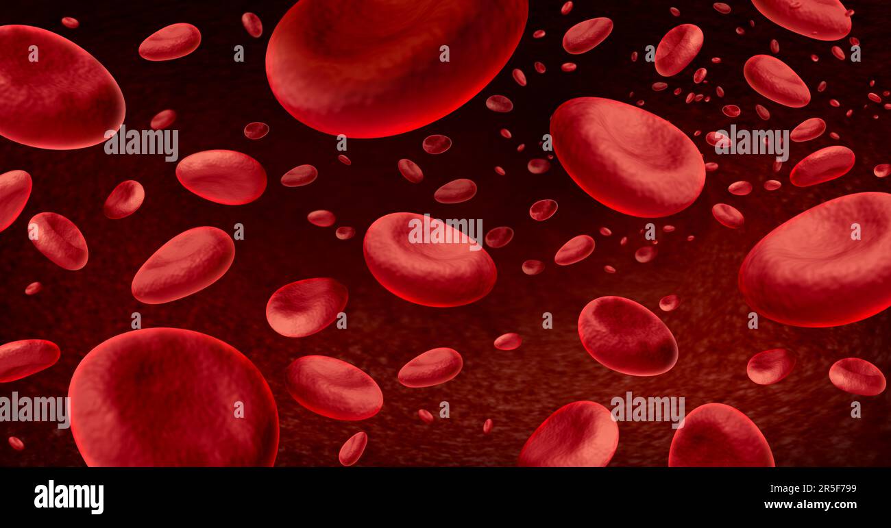 Les cellules sanguines contexte et hématologie avec le sang comme concept du système immunitaire par immunologie comme biologie microscopique symbole de l'hémoglobine à l'intérieur Banque D'Images
