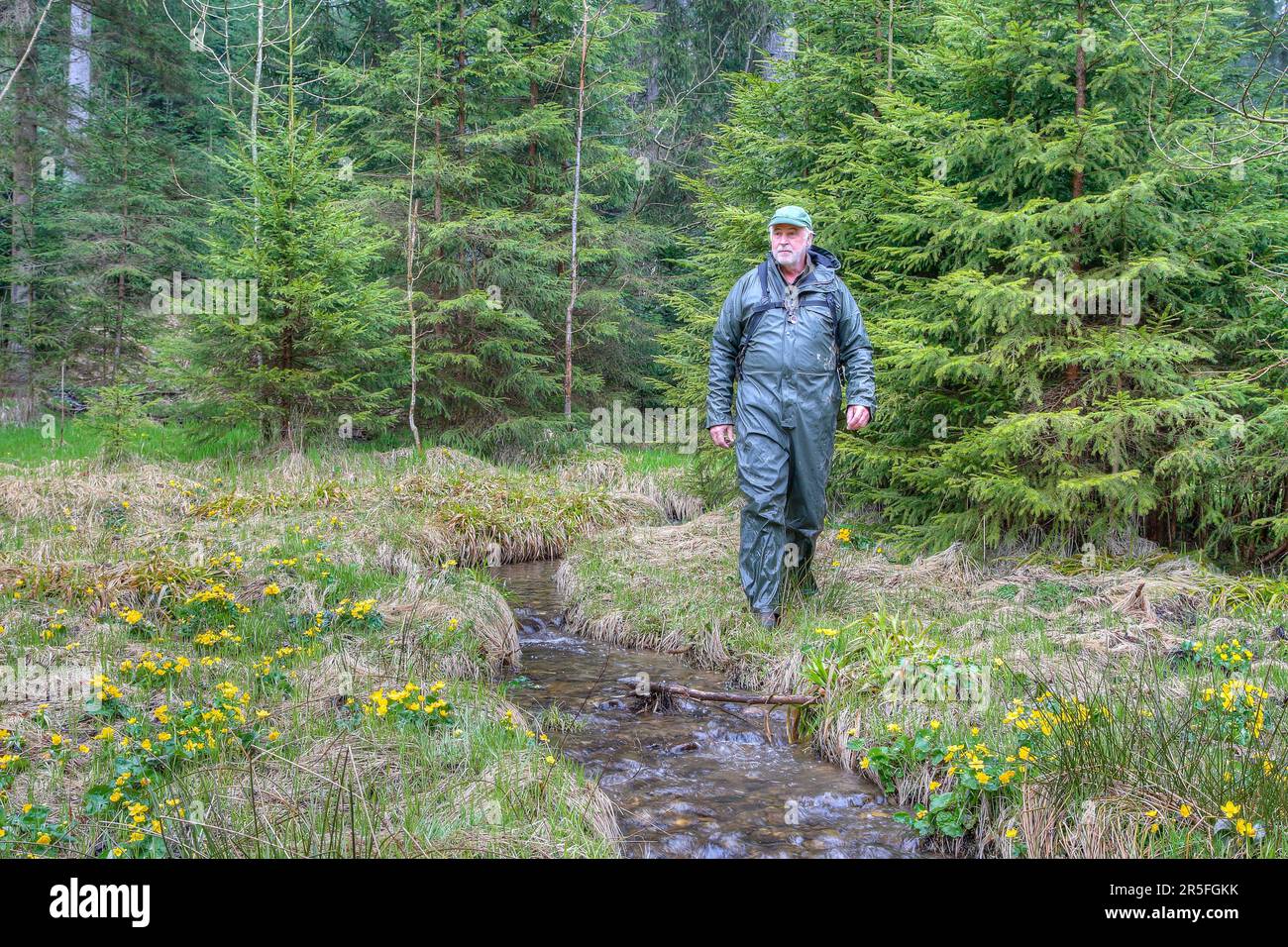 Malgré le mauvais temps, un randonneur apprécie la solitude et la beauté de la nature. Le ruisseau et les marais lui rappellent que la nature prospère malgré les tempêtes. Banque D'Images