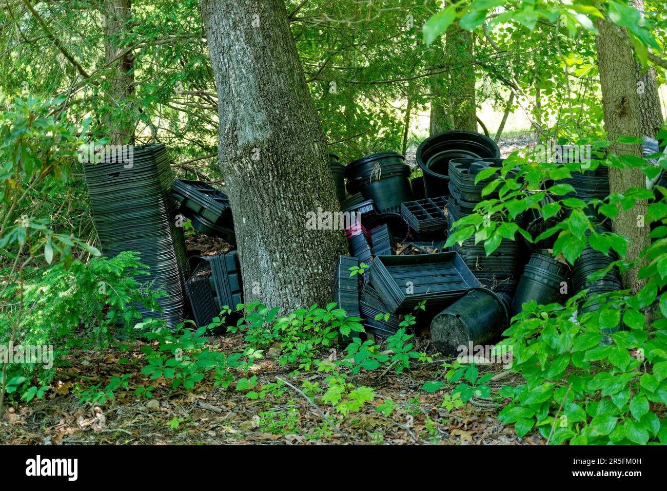 Récipients de plantation en plastique pour petits arbres et buissons et bacs d'empotage empilés ensemble dans un tas béant jeté dans une zone boisée à l'extérieur Banque D'Images