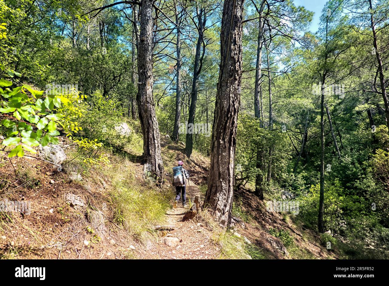 Trekking à travers les montagnes sur la voie lycienne, Antalya, Turquie Banque D'Images