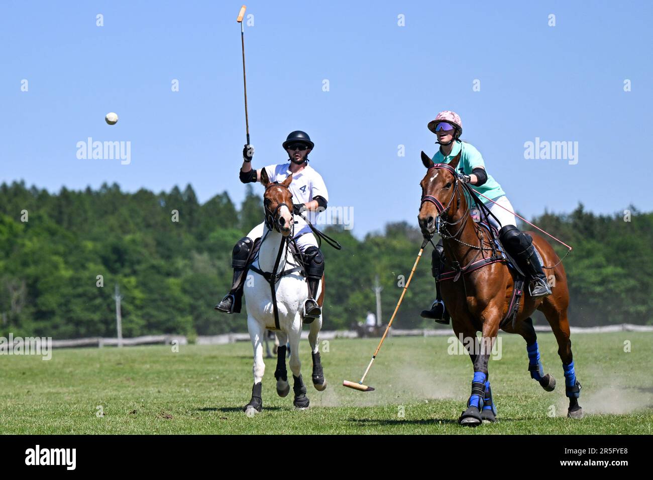 Brezina, République tchèque. 03rd juin 2023. L'édition 17th du tournoi international de polo a eu lieu à 3 juin 2023, à la ferme de la Noe à Brezina, dans la région de Moravie du Sud, en République tchèque. Crédit: Vaclav Salek/CTK photo/Alay Live News Banque D'Images