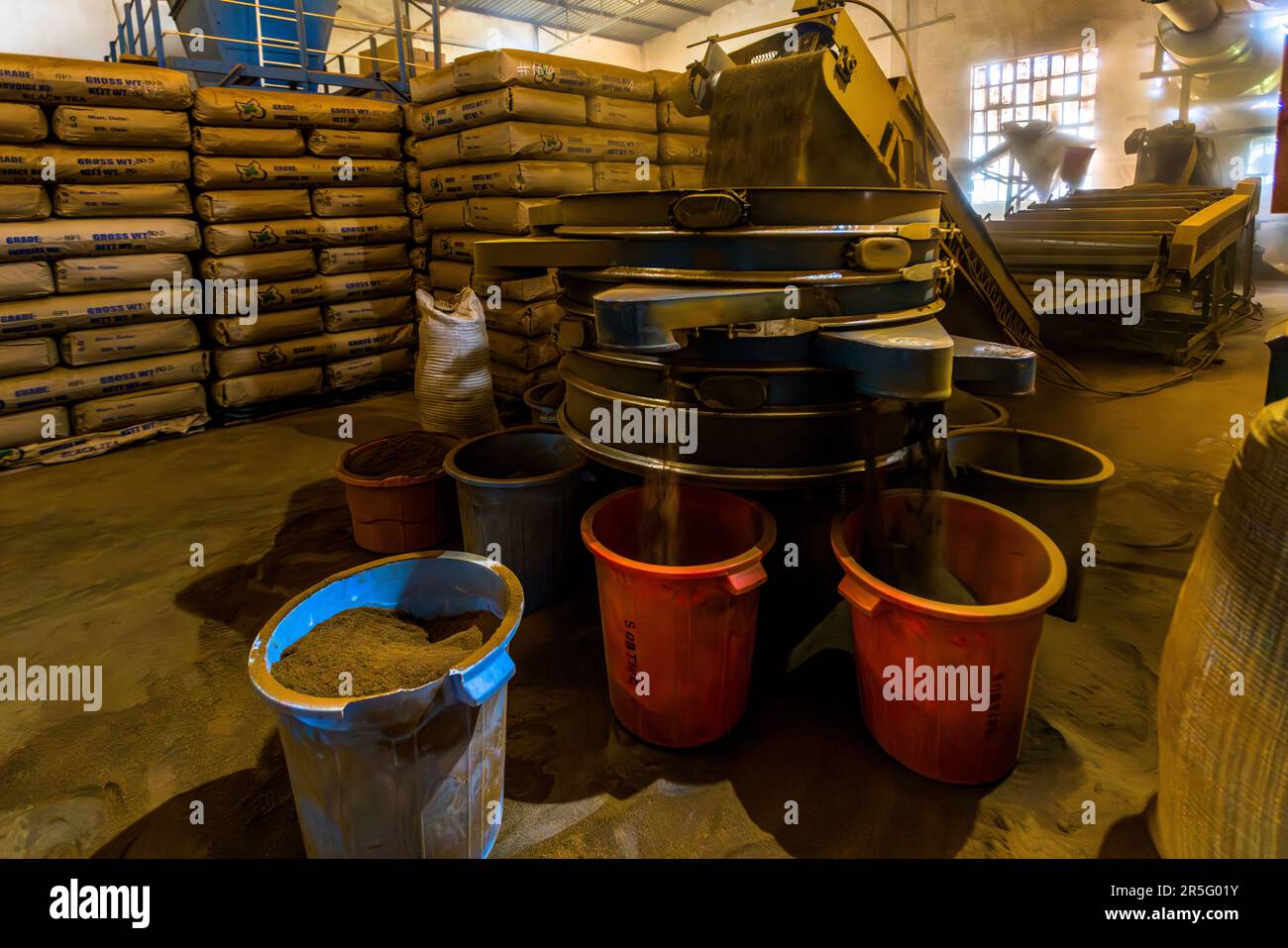 Machine de tri de thé. En arrière-plan des emballages en vrac pour le commerce international. Plantation de thé et de café Satemwa près de Thyolo, Malawi Banque D'Images