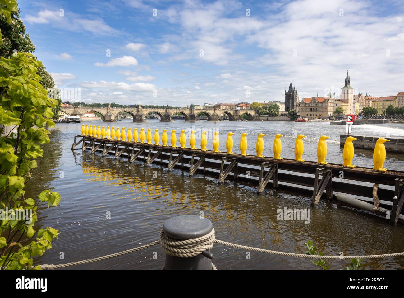 Prague: A la forme de l'île de Kampa de l'autre côté de la Vltava à la vieille ville de Stare Mesto avec pont charles et tour de pont. Banque D'Images
