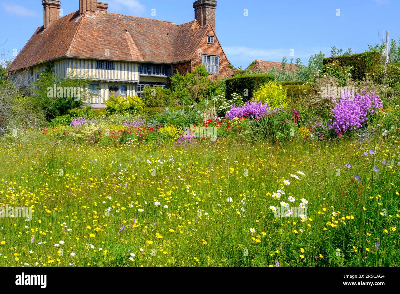 Great Dixter, Wild Garden, East Sussex, Royaume-Uni Banque D'Images