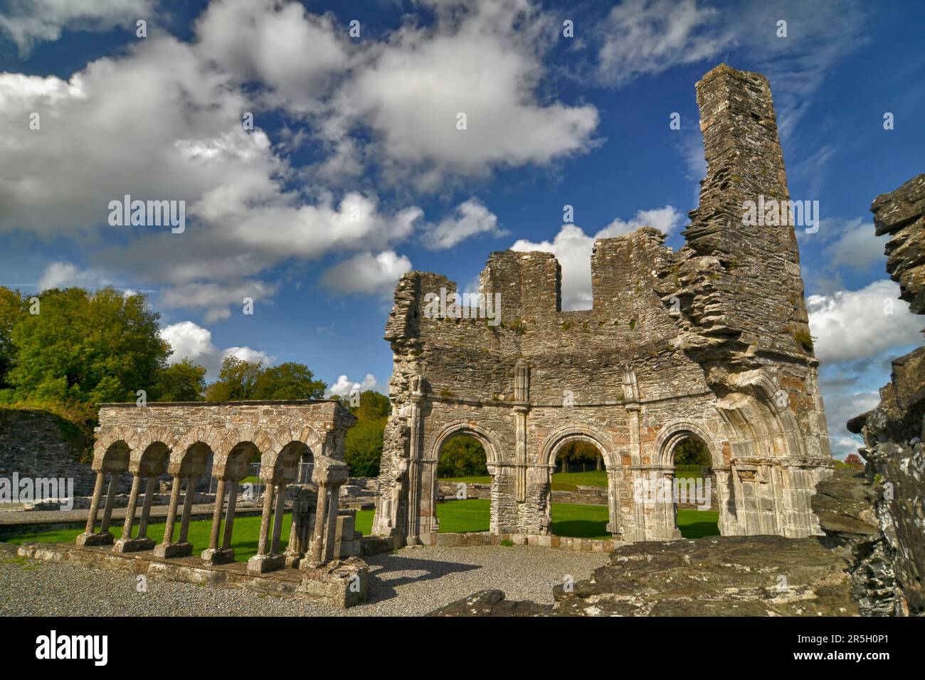 Abbaye de Mellifont, Mellifont, près de Drogheda, Comté de Louth, Abbaye cistercienne, Irlande Banque D'Images