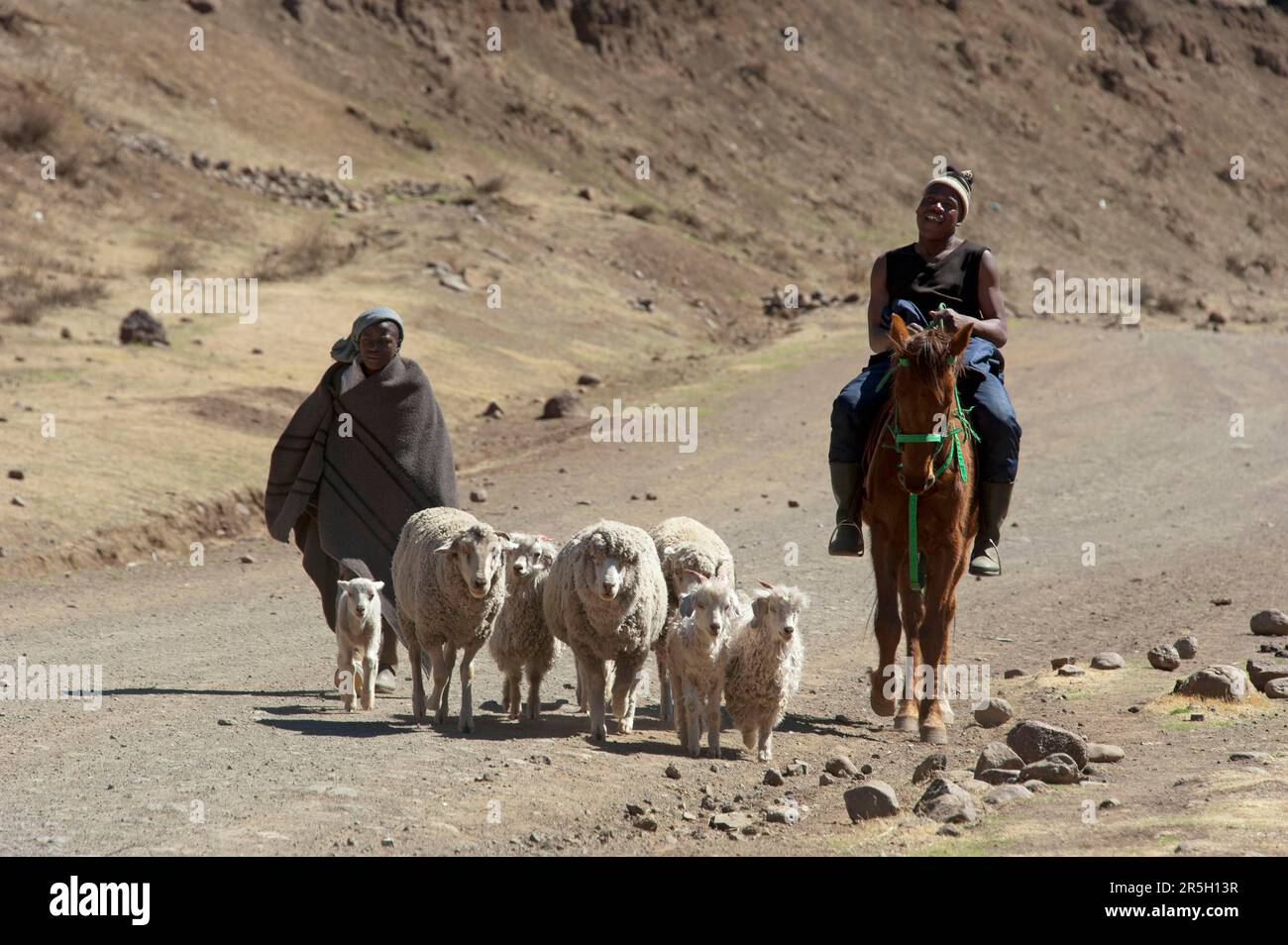 Bergers, sotho, Basotho, district de Mokhotlong, A14, Lesotho, Shepherds Banque D'Images