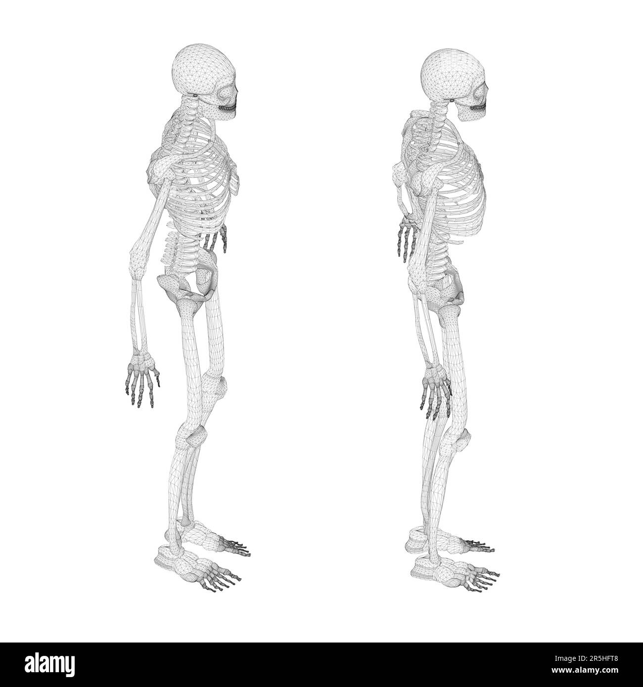 Défini avec un squelette filaire humain à partir de lignes noires isolées sur fond blanc. Vue isométrique. 3D. Illustration vectorielle. Illustration de Vecteur