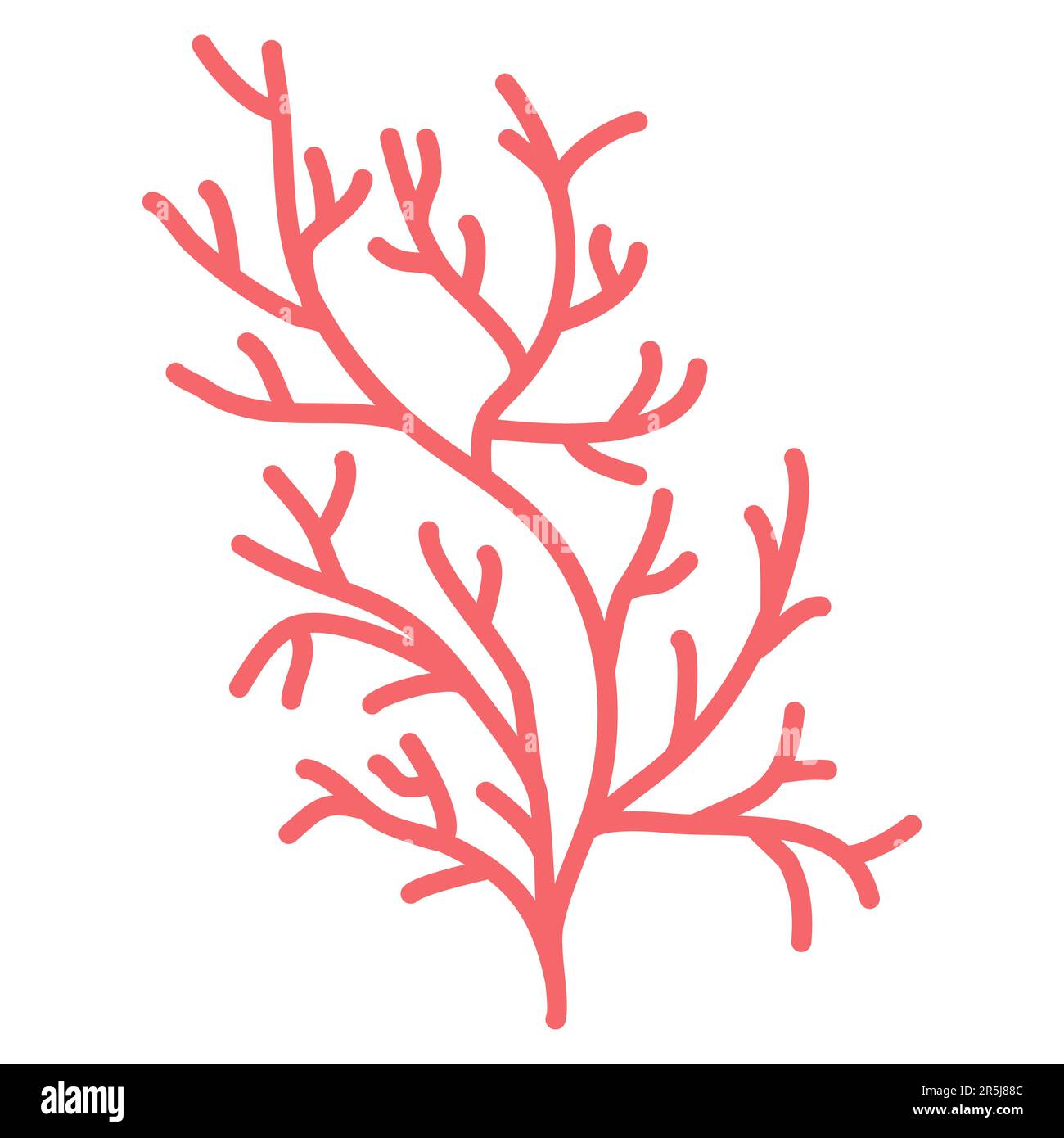 Mer rouge et aquarium plante d'eau ou corail, plantation sous-marine, illustration vectorielle Illustration de Vecteur