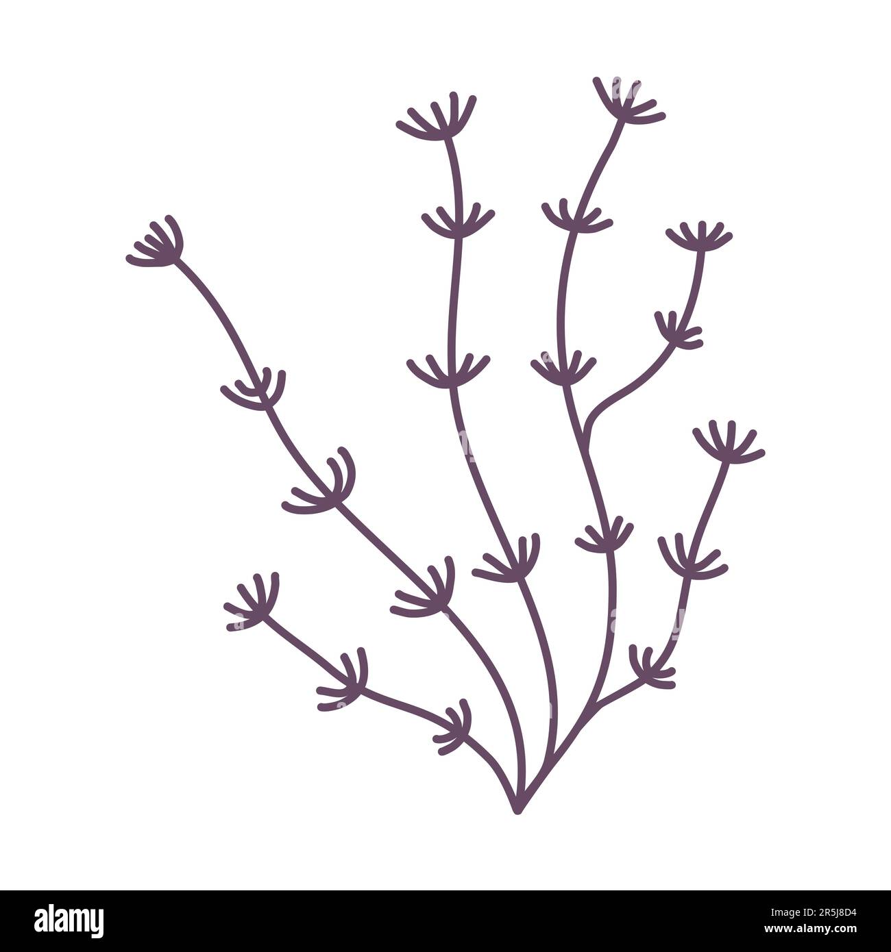 Bleu mer et aquarium plante d'eau ou algue, plantation sous-marine, illustration vectorielle Illustration de Vecteur