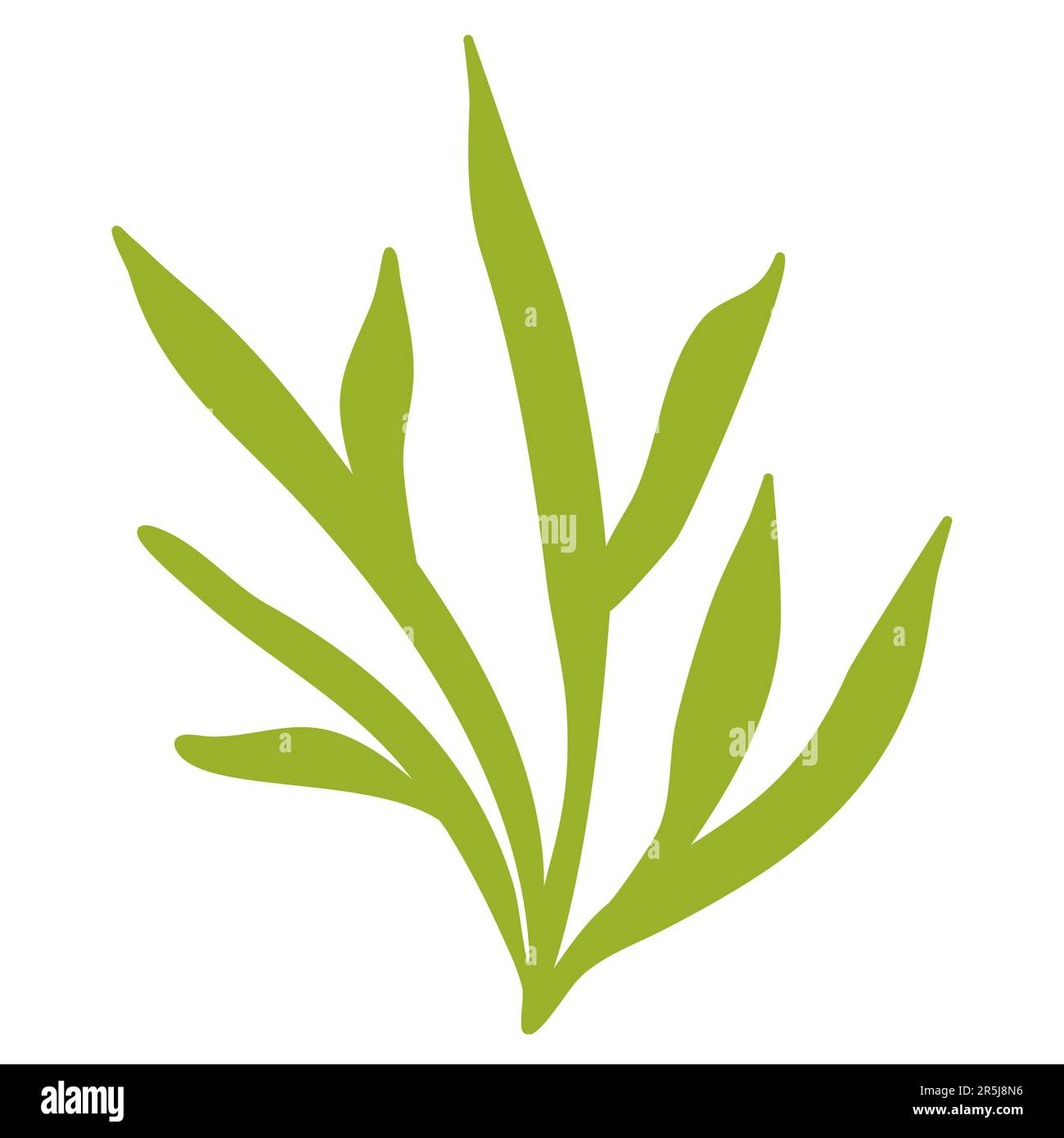 Plante d'eau de mer verte et d'aquarium ou algue, plantation sous-marine, illustration vectorielle Illustration de Vecteur