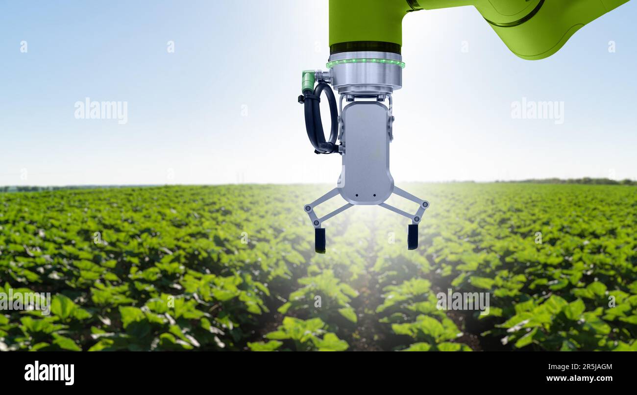 Le robot travaille sur le champ agricole. Agriculture intelligente et agriculture numérique 4.0 Banque D'Images