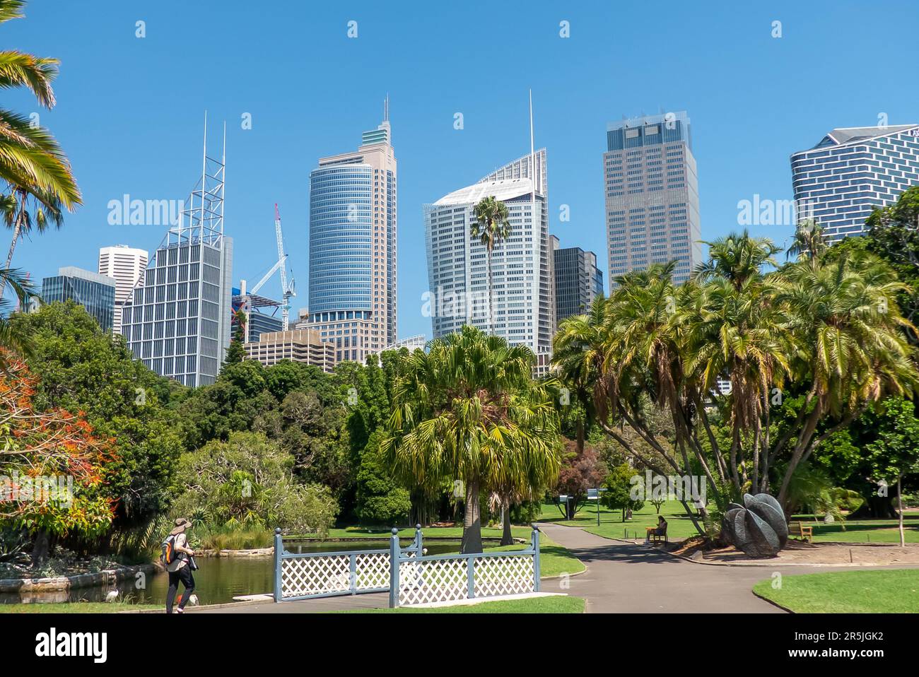 Les gratte-ciel de Sydney depuis les jardins botaniques Banque D'Images