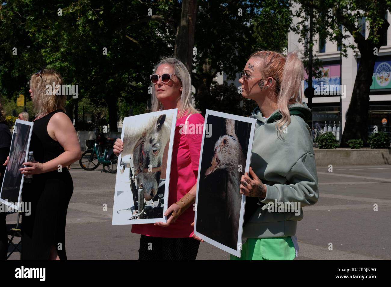 Londres, Royaume-Uni. 4th juin 2023. Les militants des droits des animaux tiennent des banderoles et des photos tout en se rassemblant à Marble Arch pour célébrer la Journée nationale des droits des animaux (NARD) 13th. Laura Gaggero/Alamy Live News. Banque D'Images