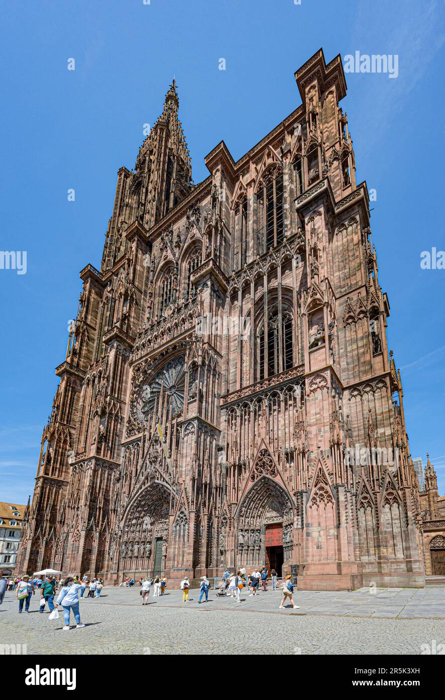 Vue sur la cathédrale historique de notre-Dame de Strasbourg, Alsace, France, Europe Banque D'Images