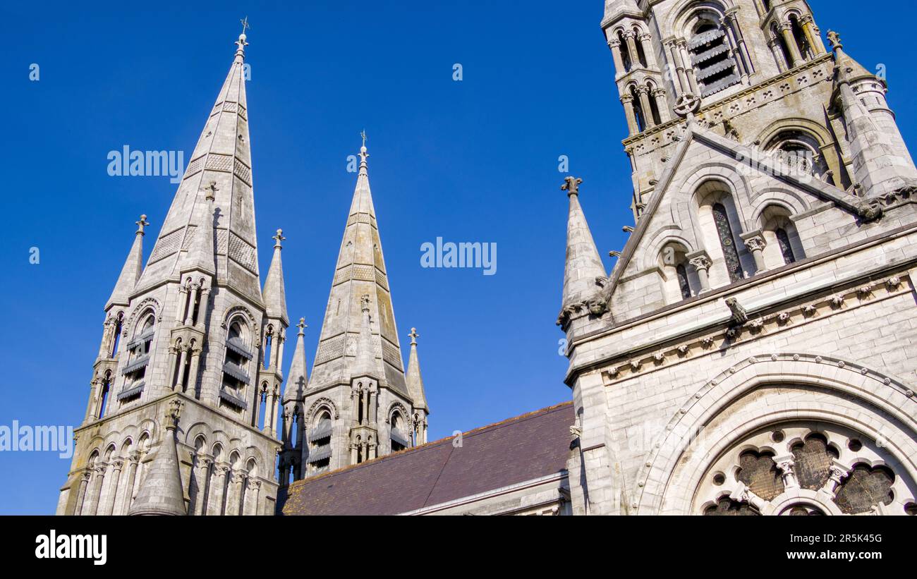 Les flèches de la cathédrale anglicane de St. Fin barre dans la ville irlandaise de Cork. Une église chrétienne de style néo-gothique. ciel. Chrétien religieux Banque D'Images