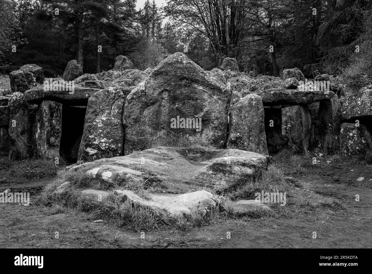 Folie victorienne de la plantation Druids avec des pierres debout créées dans la forêt du Yorkshire de Niddoyre Banque D'Images