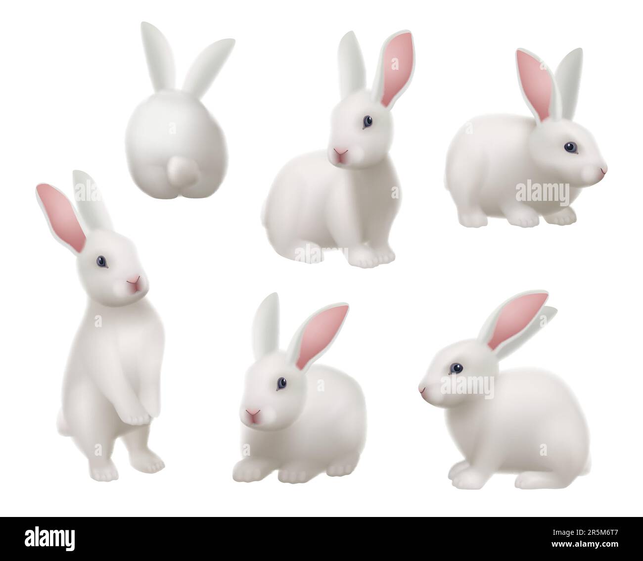 Lapin blanc. Animal dans diverses poses dans la science laboratoire décent vecteur images ensemble Illustration de Vecteur