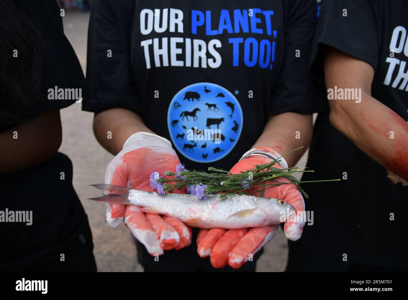 Kolkata, Inde. 04th juin 2023. Le militant des droits des animaux tient un poisson mort alors qu'il organise une cérémonie commémorative pour commémorer les animaux qui ont perdu la vie l'année dernière par les humains. Crédit : SOPA Images Limited/Alamy Live News Banque D'Images