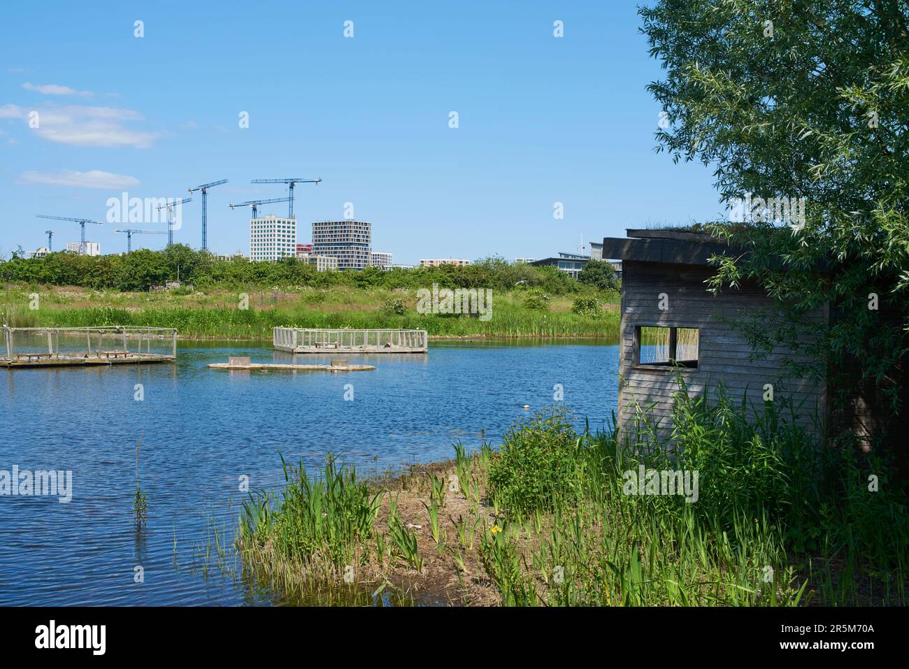 Cachette d'oiseaux et lac à Greenwich Peninsula Ecology Park, Londres, Royaume-Uni Banque D'Images